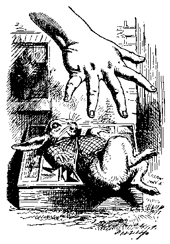 Alice illustré par John Tenniel