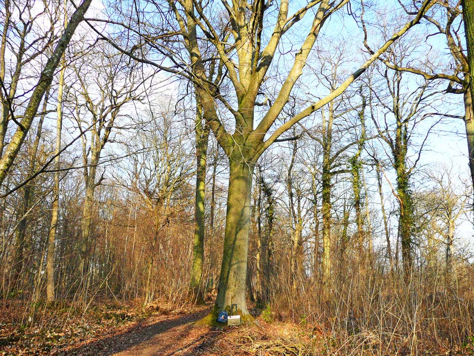 Aller à l'école Revenir de l'école