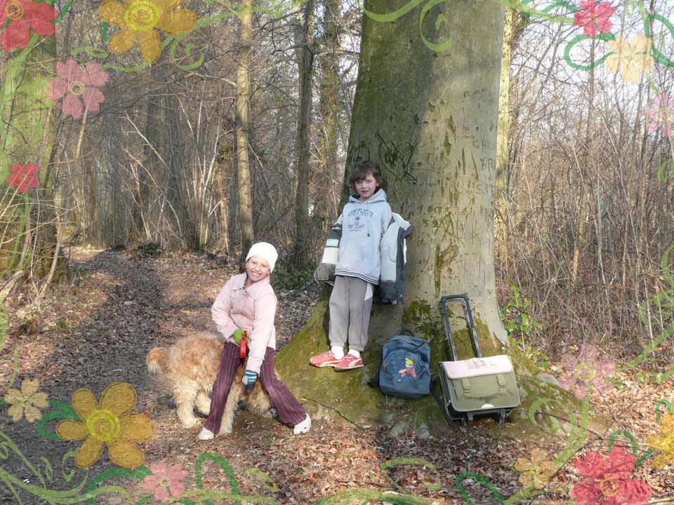 Aller à l'école Revenir de l'école