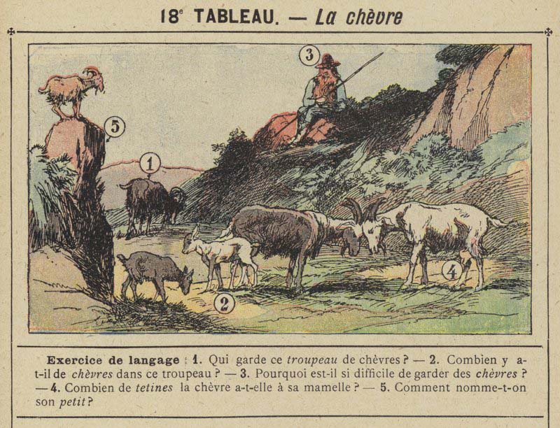 Tableaux pour l'école de Gustave Fraipont vers 1900