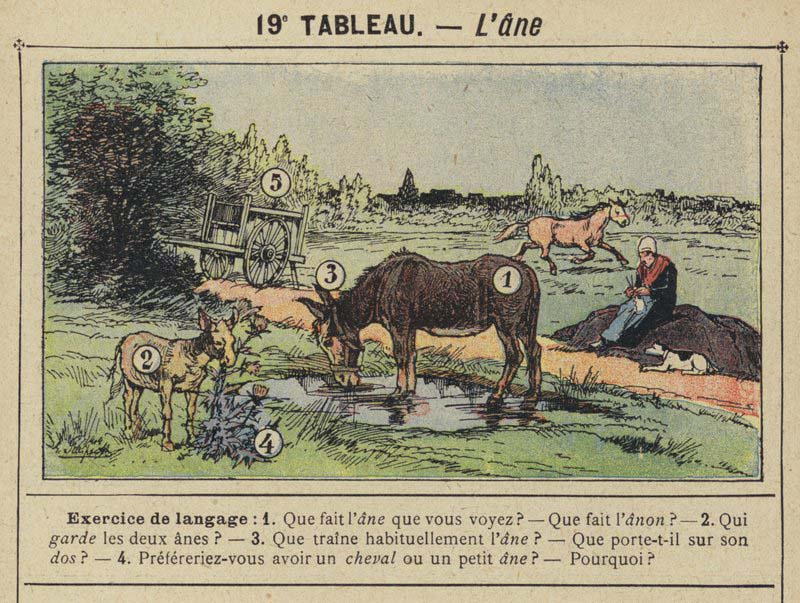Tableaux pour l'école de Gustave Fraipont vers 1900