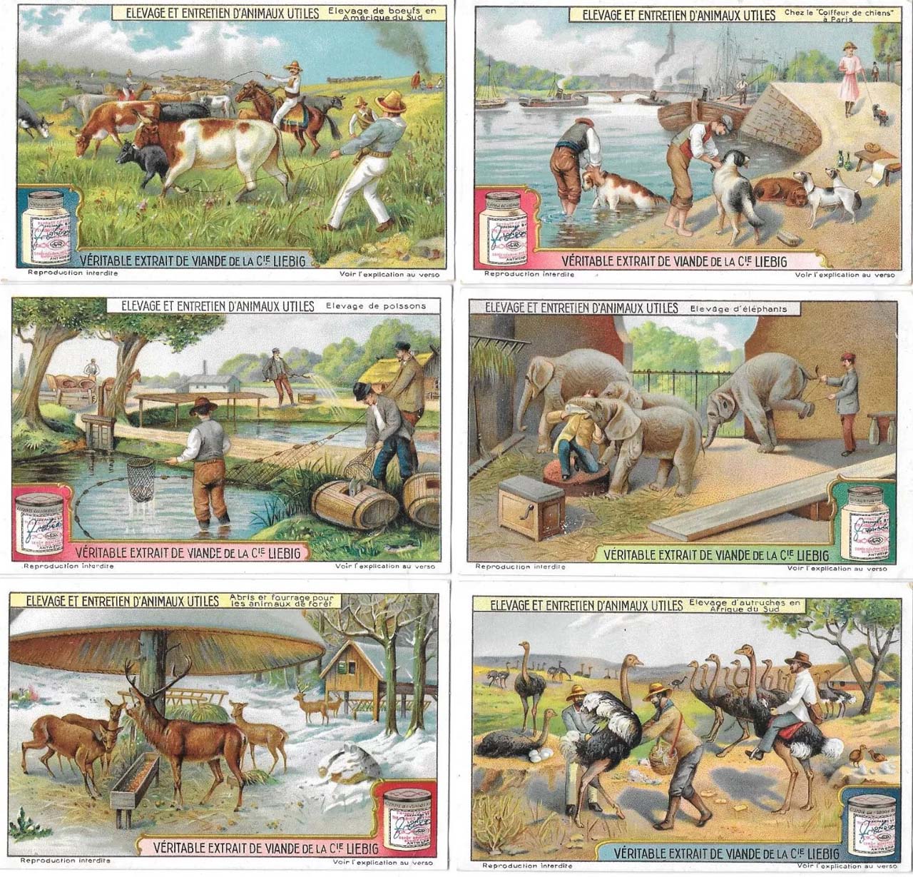 Liebig 11500 chromos en séries de 6 cartes