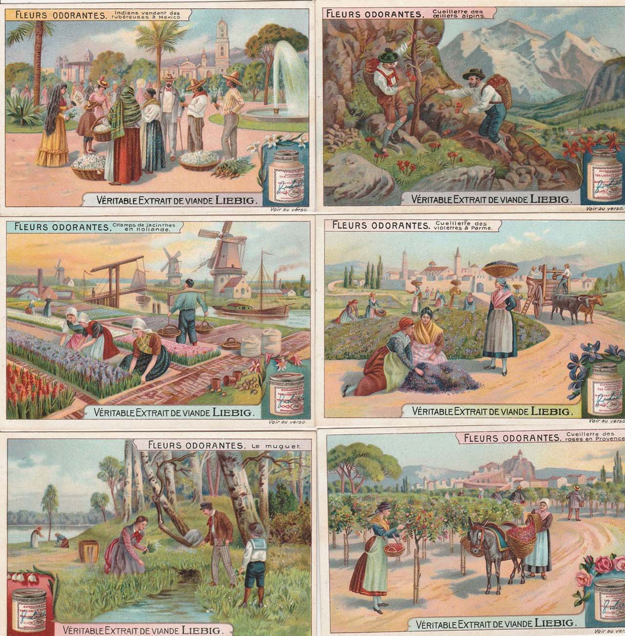 Liebig 11500 chromos en séries de 6 cartes