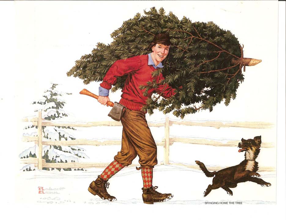 Bringing home the tree - 1 