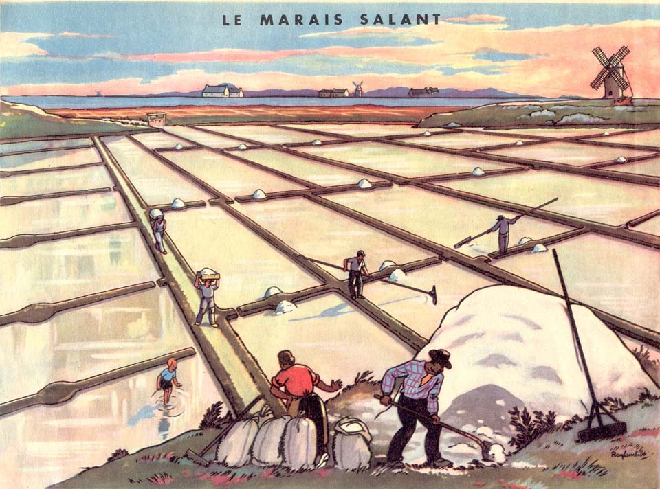 géo - Le marais salant