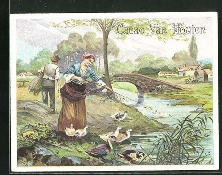 Van Houten le chocolat en poudre
