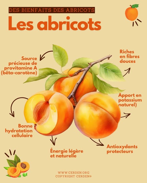 les abricots