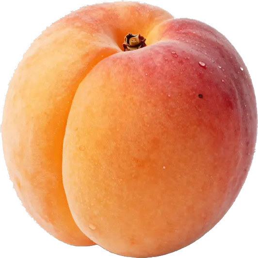 les abricots