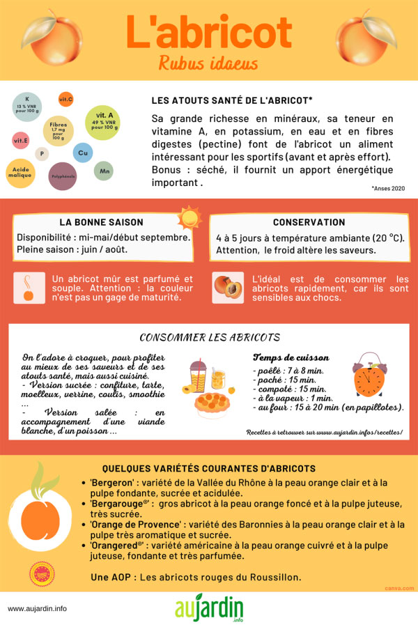 les abricots