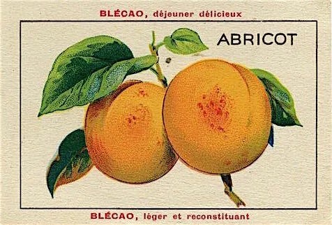les abricots