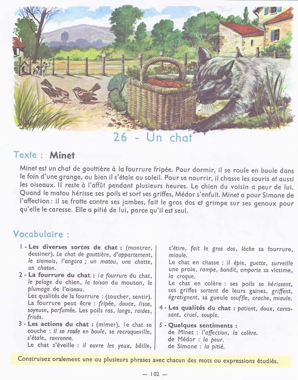 De l'image à la phrase
