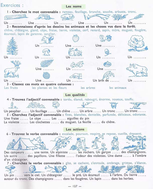 De l'image à la phrase