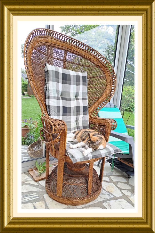 C'est mon fauteuil a dit Féline