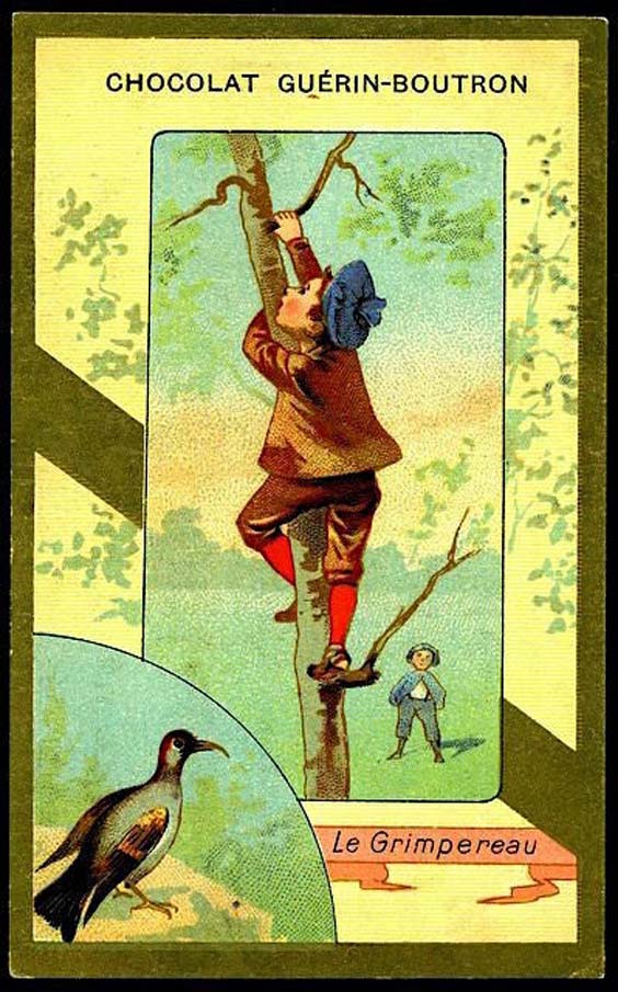 chocolat Guérin-Boutron