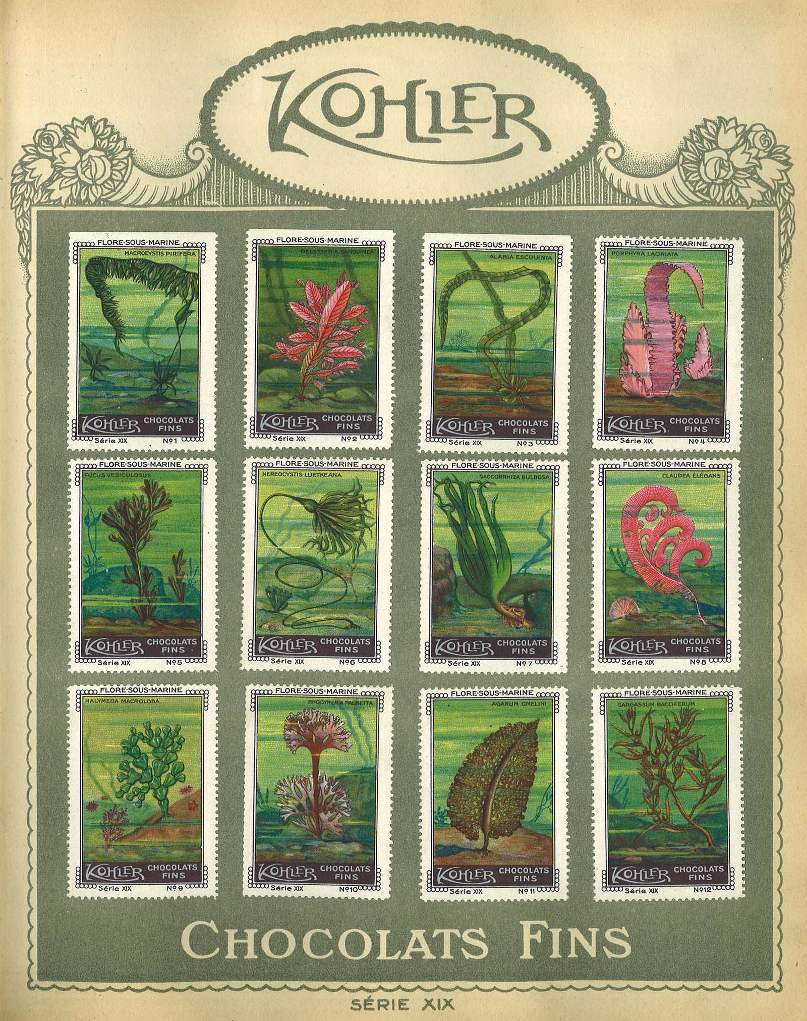 chocolat Kohler