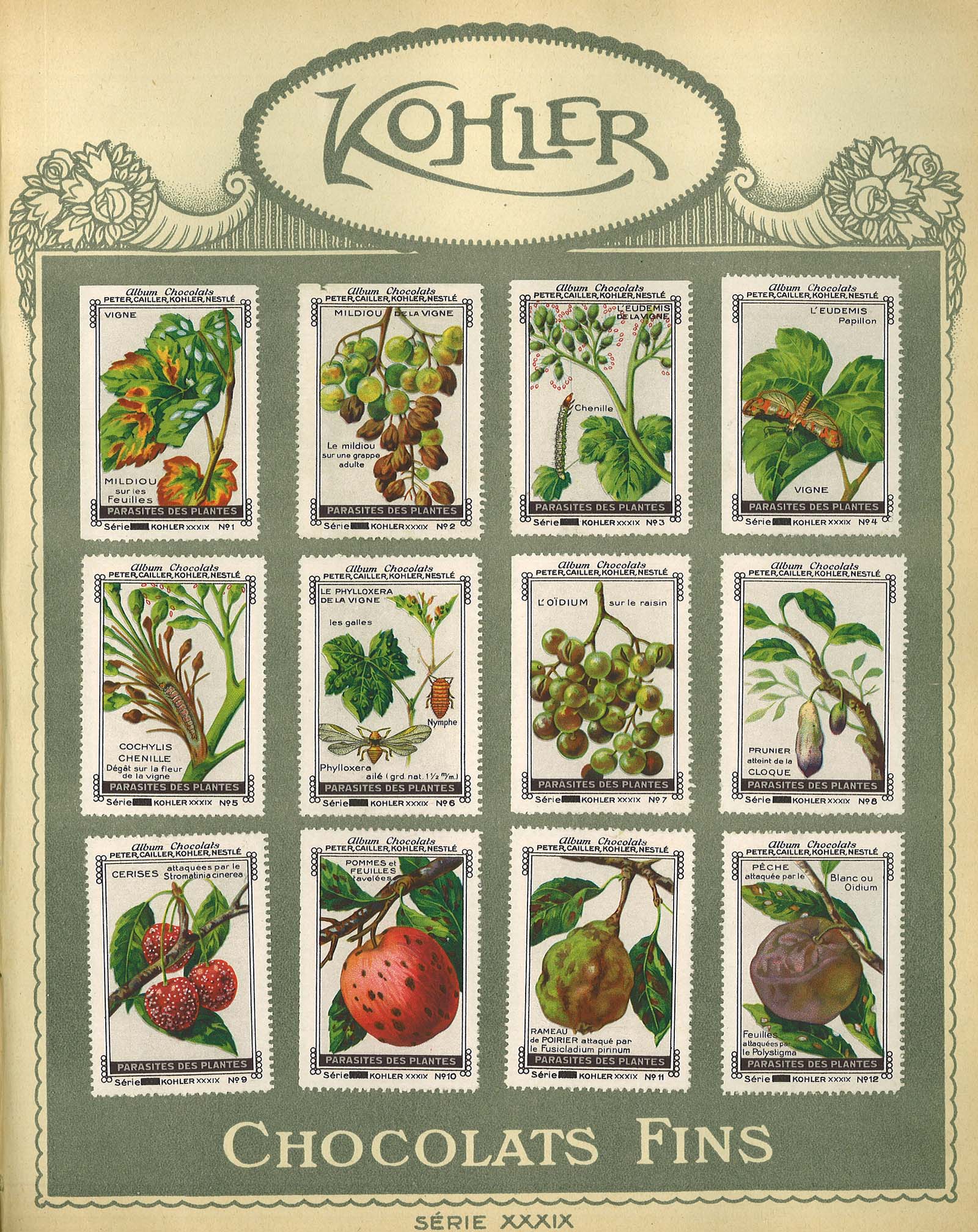chocolat Kohler