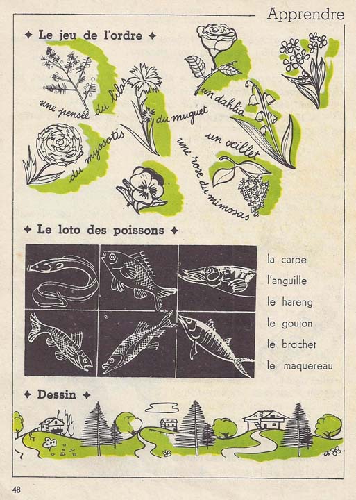 Au pays merveilleux CE1 (1965)