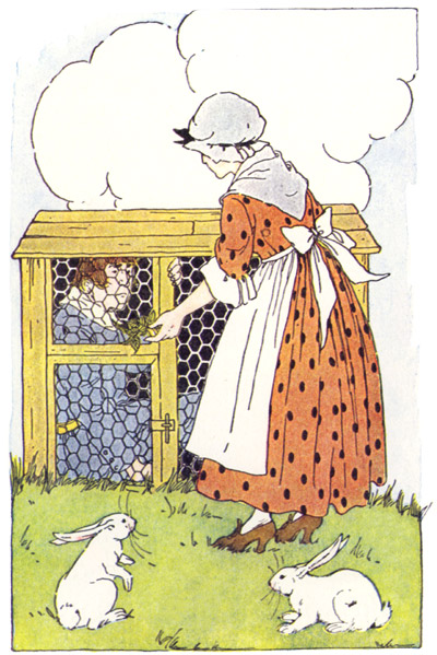 Le livre de Peter Patter