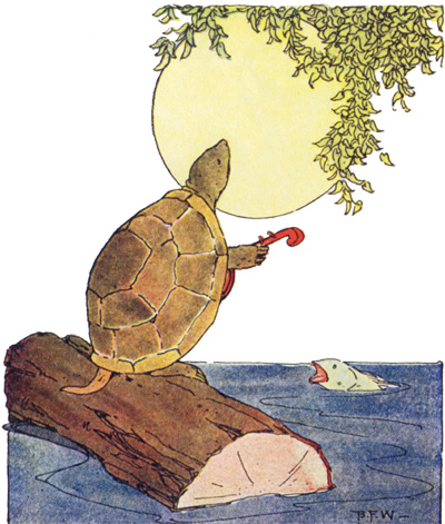 Le livre de Peter Patter