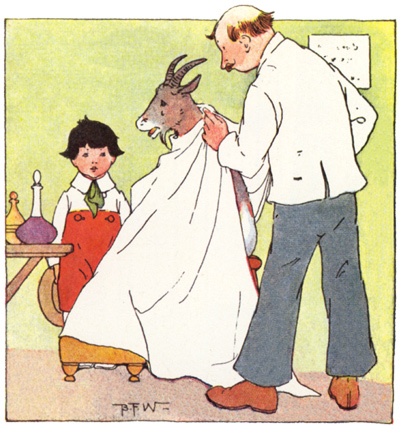 Le livre de Peter Patter