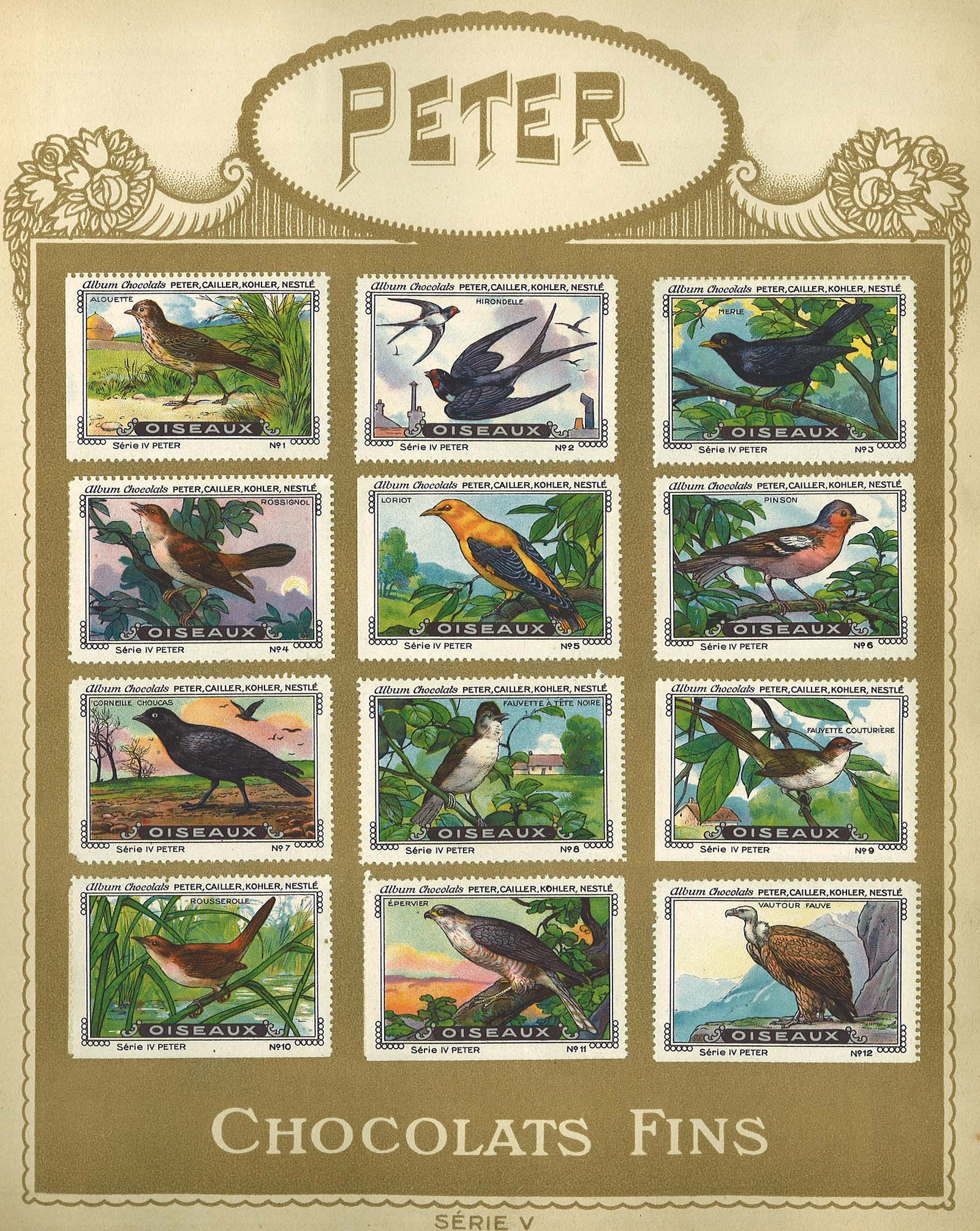 chocolat Peter