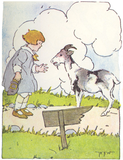 Le livre de Peter Patter