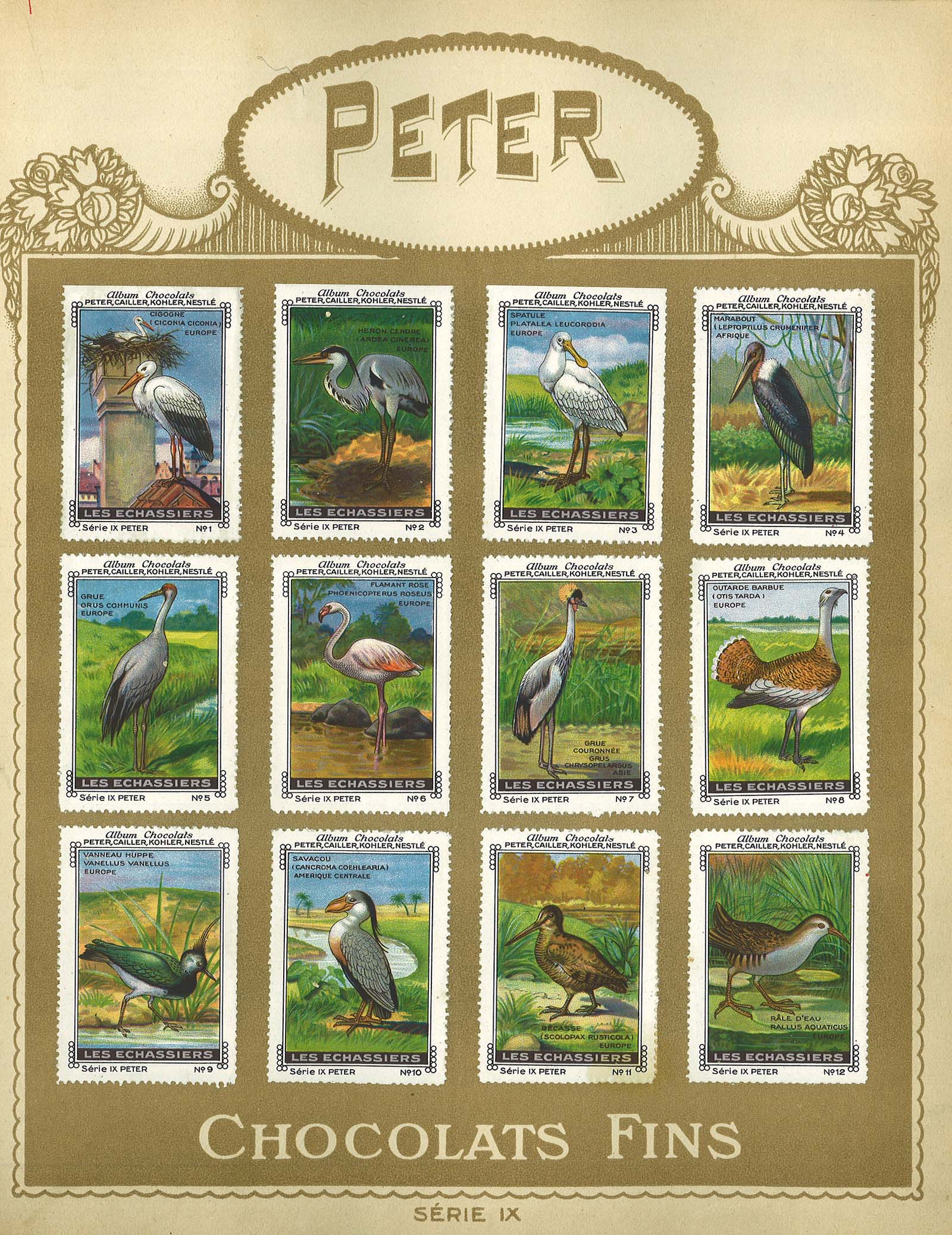 chocolat Peter