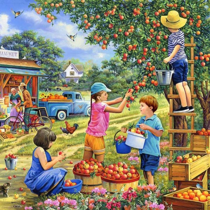 La cueillette des pommes