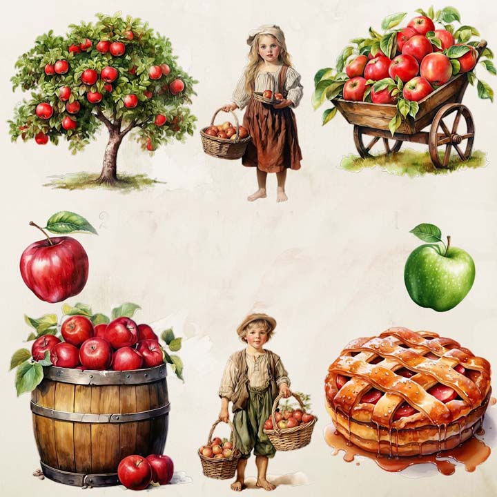 La cueillette des pommes