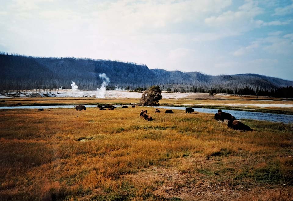 Le livre des records de Papytane