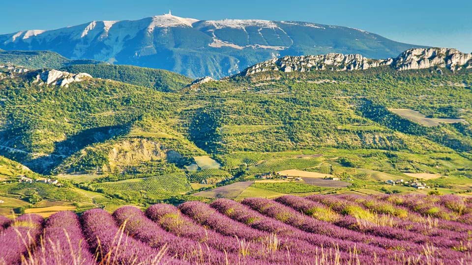 Le livre des records de Papytane