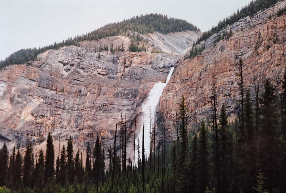 Le livre des records de Papytane