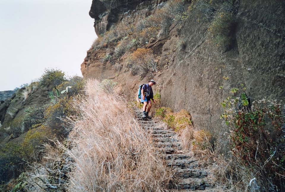 Le livre des records de Papytane