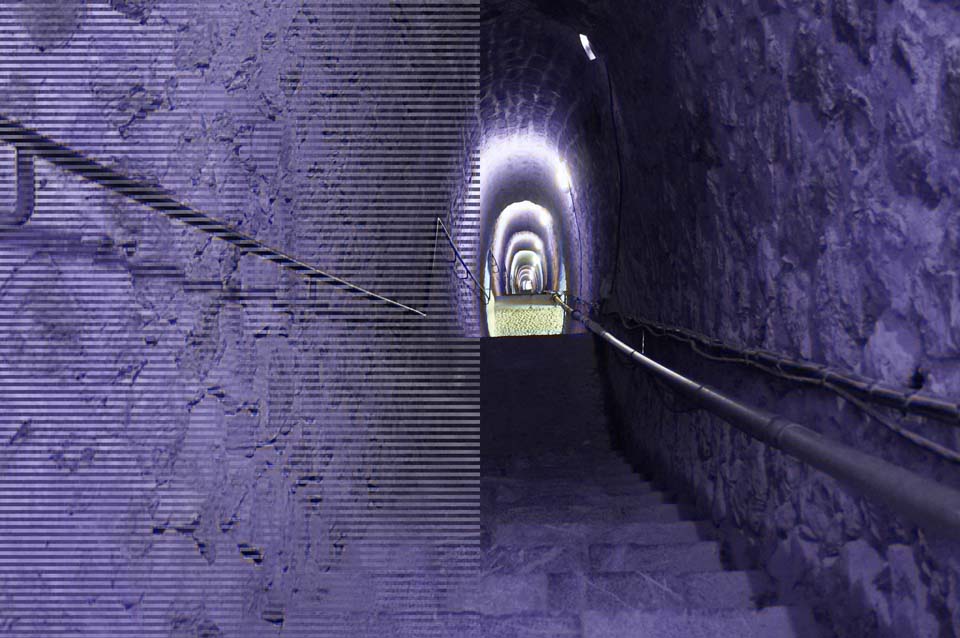 Le livre des records de Papytane