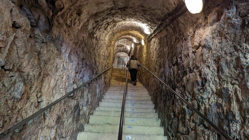 Le livre des records de Papytane