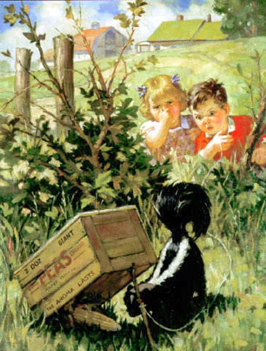 Elle pue la mouffette